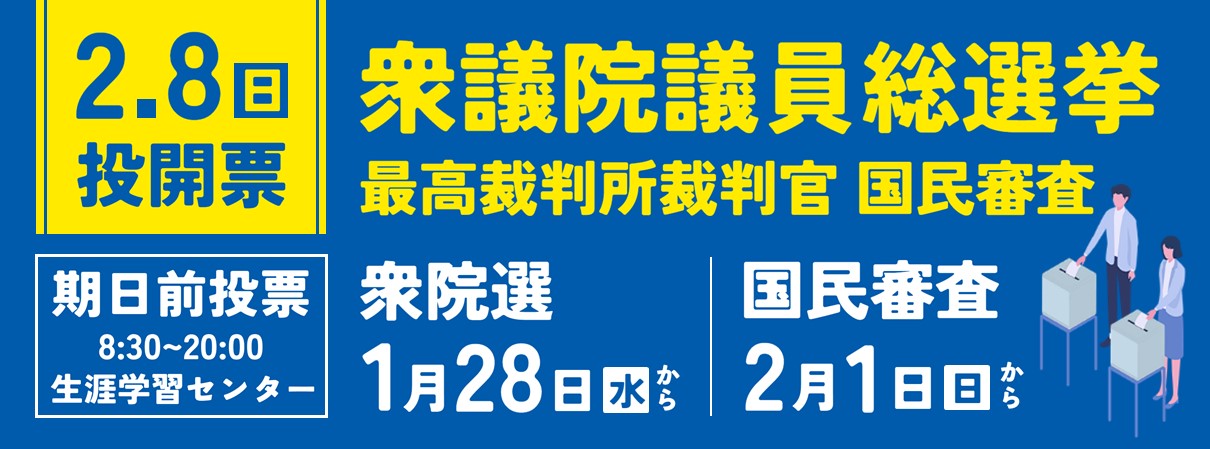 衆議院議員総選挙・最高裁判所裁判官国民審査