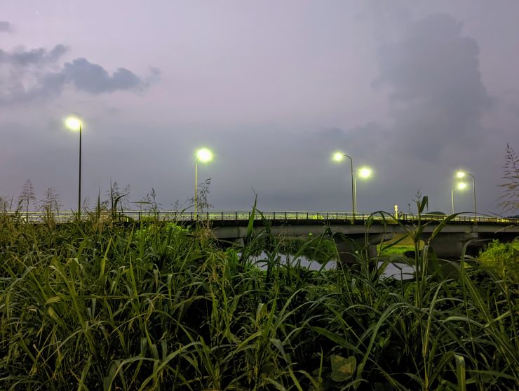 25.8.19.2.-cleaned.jpg