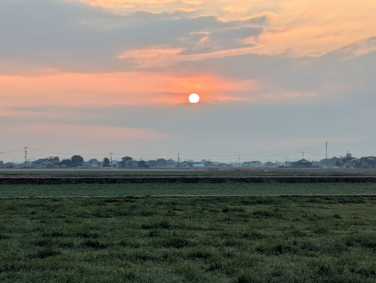 26.2.19.14..jpg