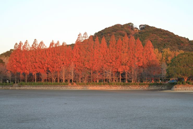 城山公園の紅葉​​​​​​