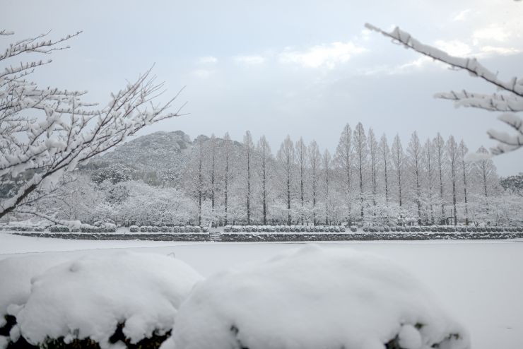 雪景色の城山公園