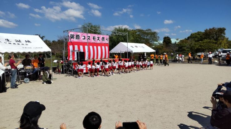 コスモス祭り.jpg