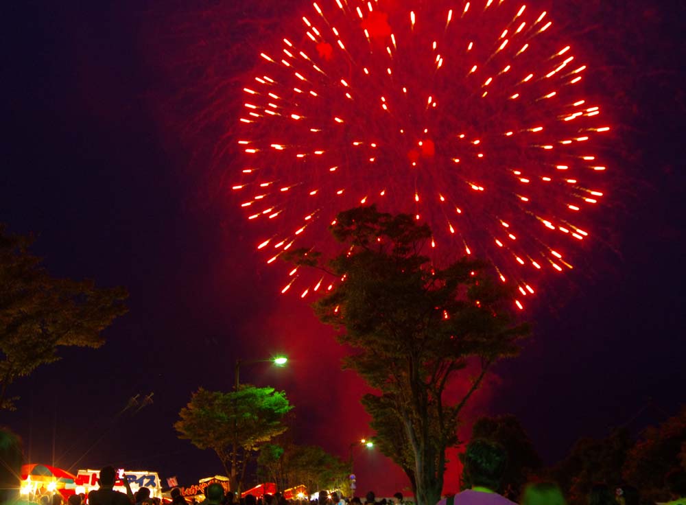 夢HANABI2014