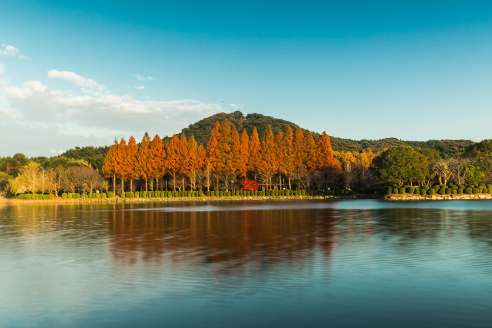 花立山公園