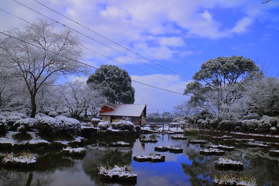 積雪2センチ