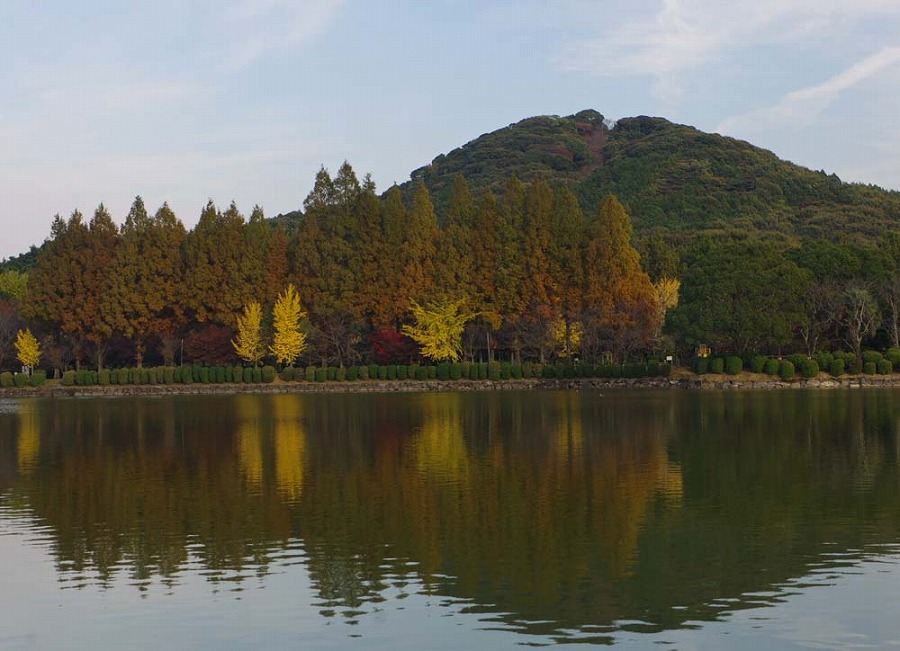 城山公園　晩秋