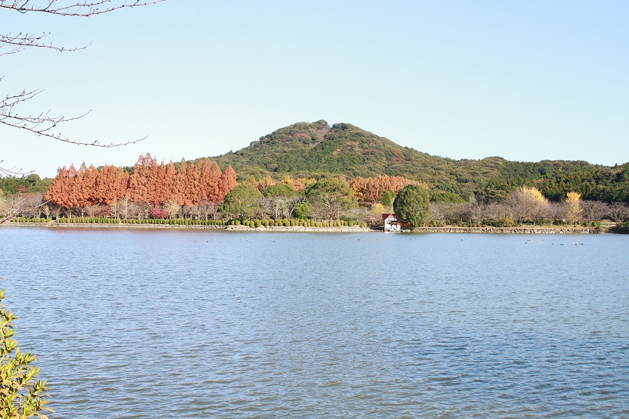 今日の花立山