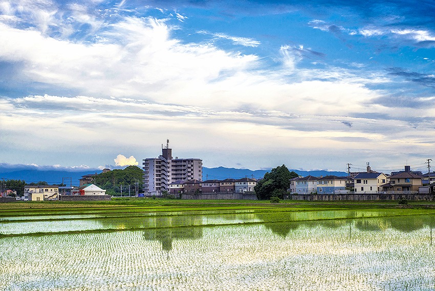 雨上がり