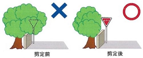 剪定前と剪定後のイメージ図