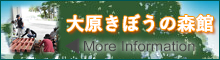 ohara-banner.jpg